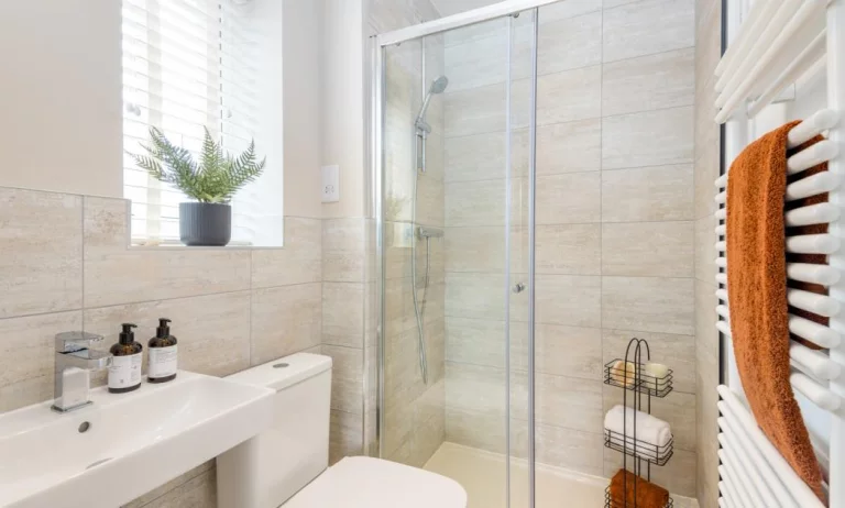 Image carousel 3504386 1763031215