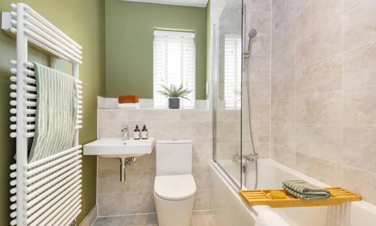 Image carousel 3504401 1763031345