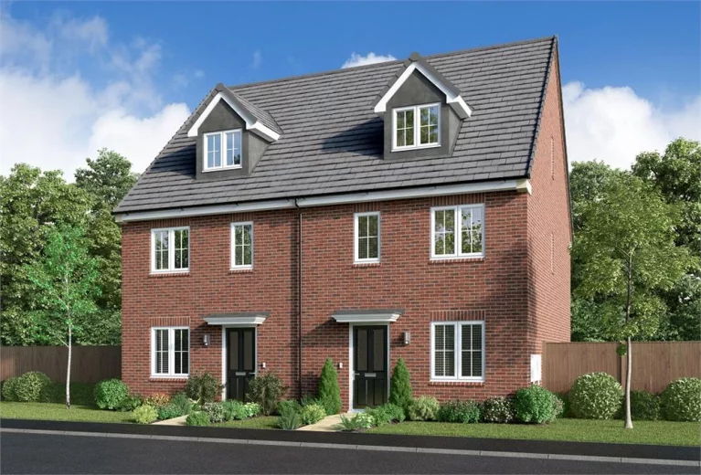 Image carousel 3504856 1763086185