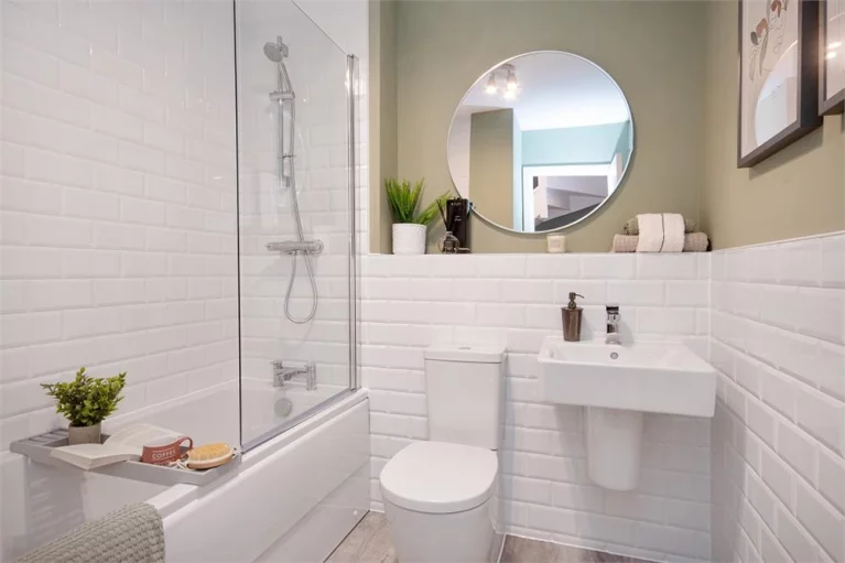 Image carousel 3504891 1763086191