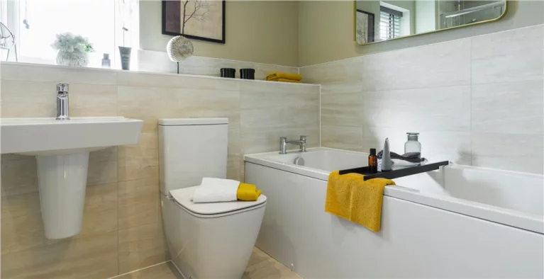 Image carousel 3505341 1763173173