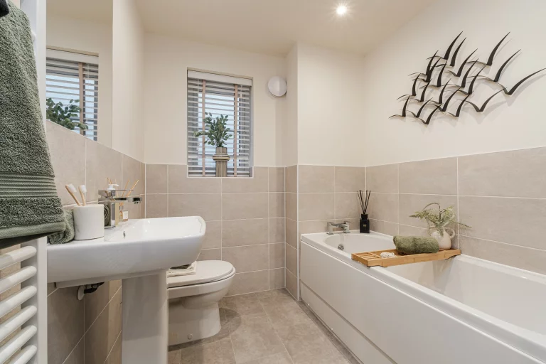 Image carousel 3505471 1763175750