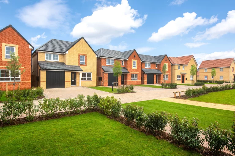 Image carousel 3507731 1763521257