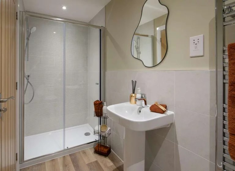 Image carousel 3508291 1763690473