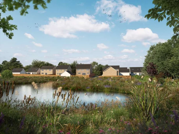 Image carousel 3509566 1764122471