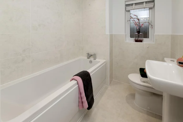 Image carousel 3509831 1764126162