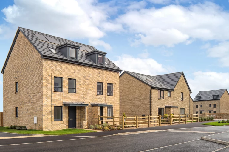 Image carousel 3510341 1764212451