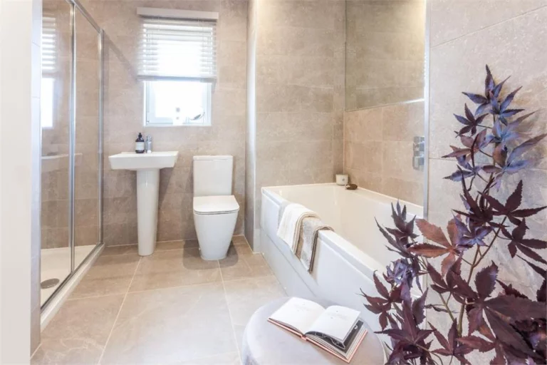 Image carousel 3511836 1764381842