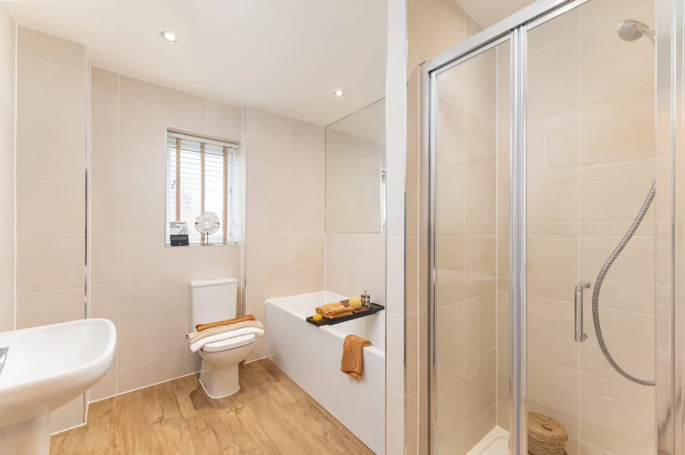 Image carousel 3512606 1764651651