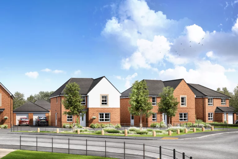 Image carousel 3512736 1764730842