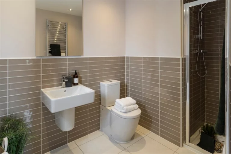 Image carousel 3514051 1764901262