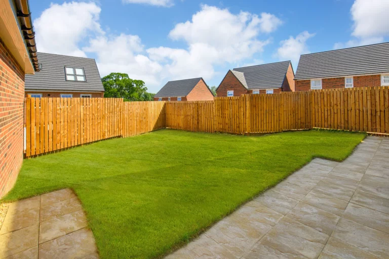 Image carousel 3514346 1764903810