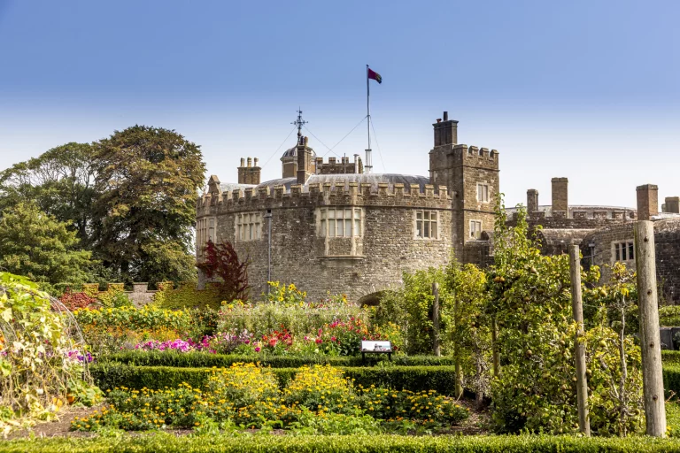 Image carousel 3514561 1764990040