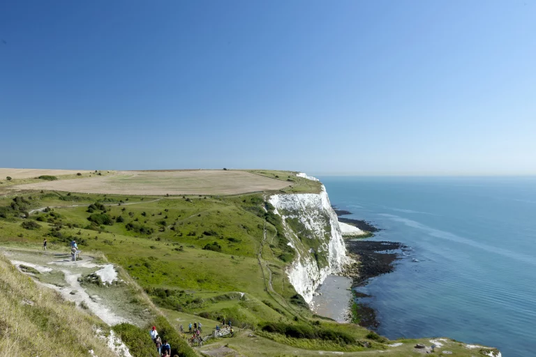 Image carousel 3514566 1764990040