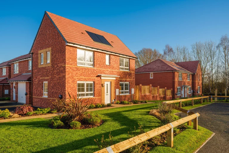 Image carousel 3514591 1764990053