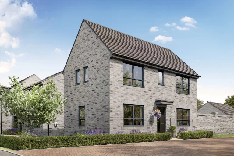 Image carousel 3514636 1764990079