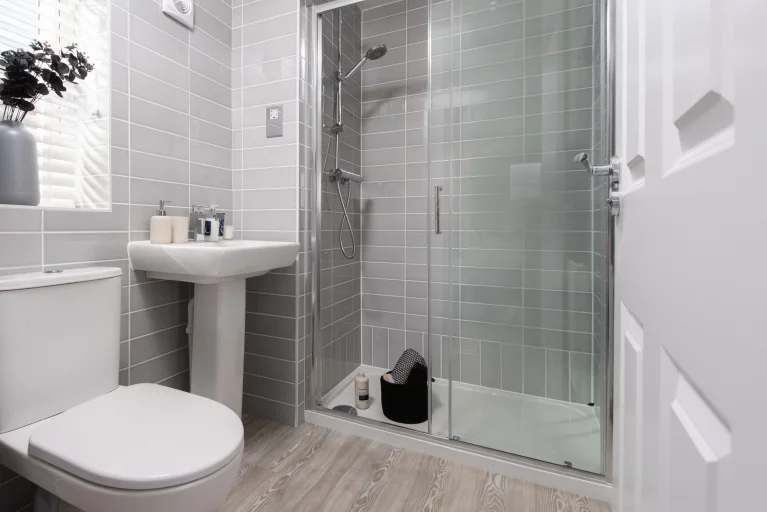 Image carousel 3514711 1764990101