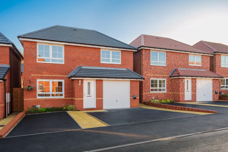 Image carousel 3514726 1764990152