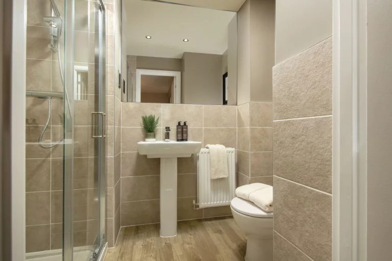 Image carousel 3514856 1764990185