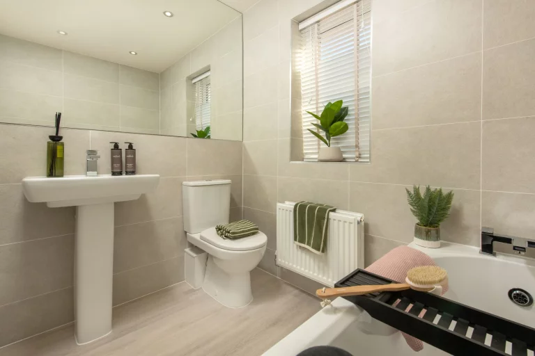 Image carousel 3514881 1764990187