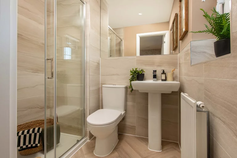 Image carousel 3514886 1764990208