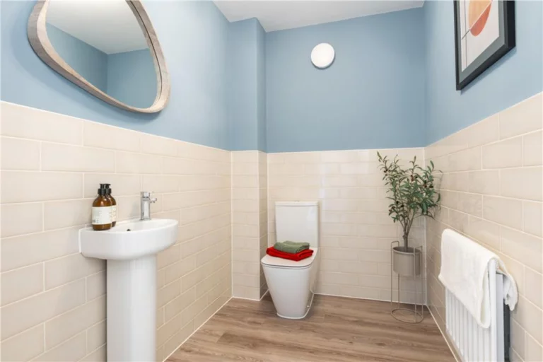 Image carousel 3515006 1765073379