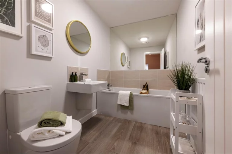 Image carousel 3515161 1765073647