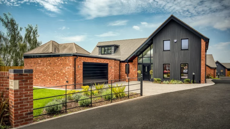 Image carousel 3515251 1765124100