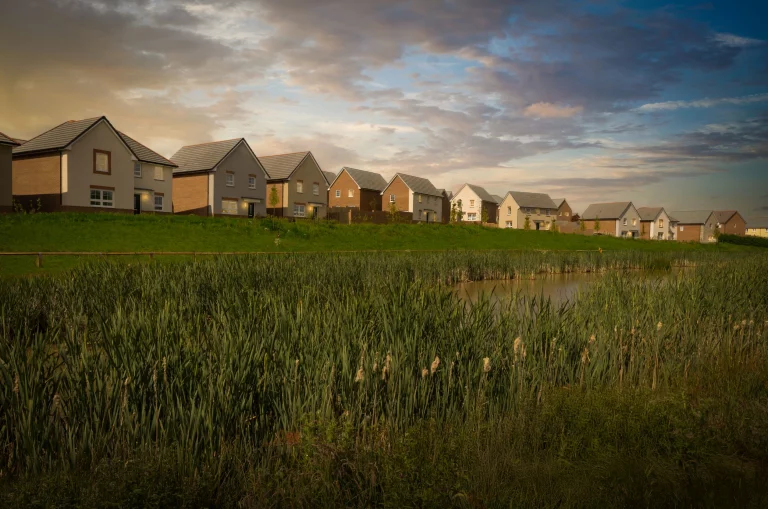 Image carousel 3516166 1765335643