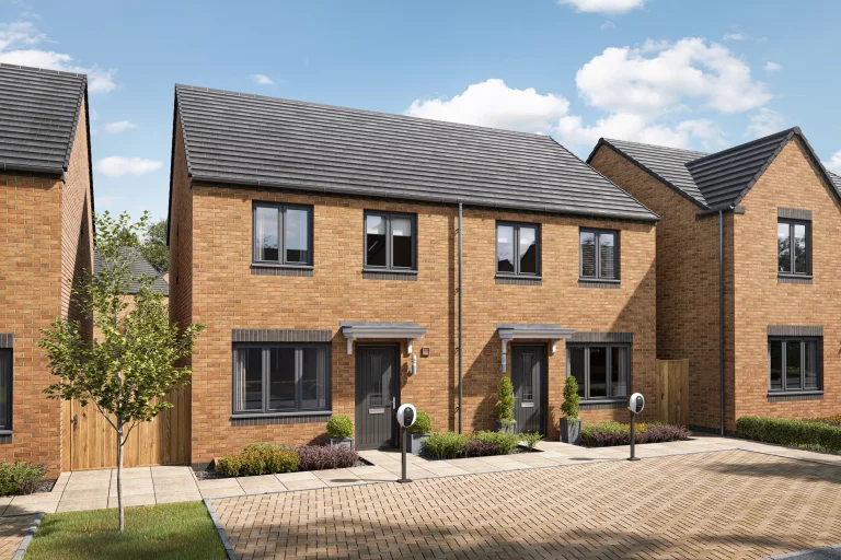 Image carousel 3517181 1765508590