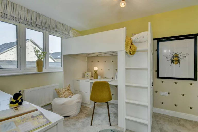 Image carousel 3517366 1765591297