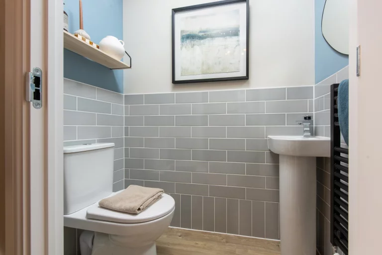 Image carousel 3517501 1765594938