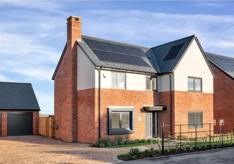 Image carousel 3517731 1765792432