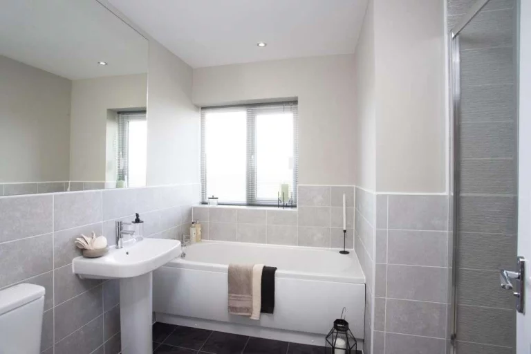 Image carousel 3517936 1765850502