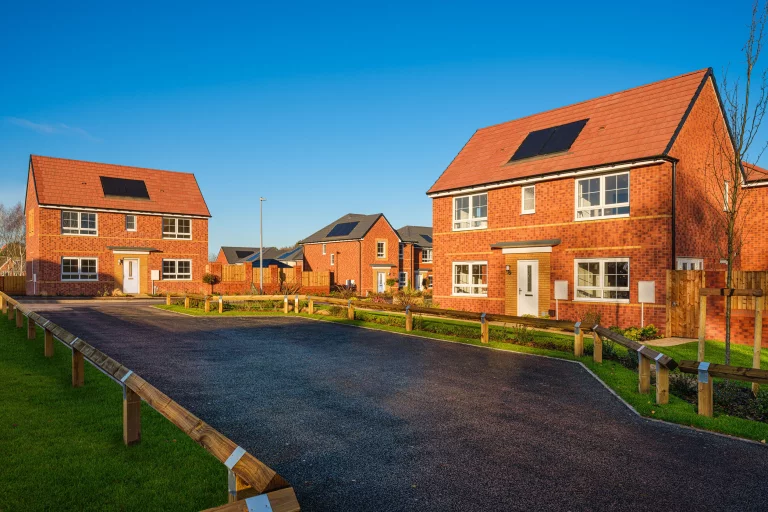 Image carousel 3518061 1765854049