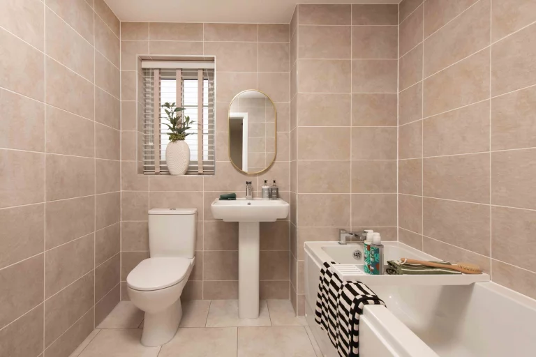 Image carousel 3518931 1766027024