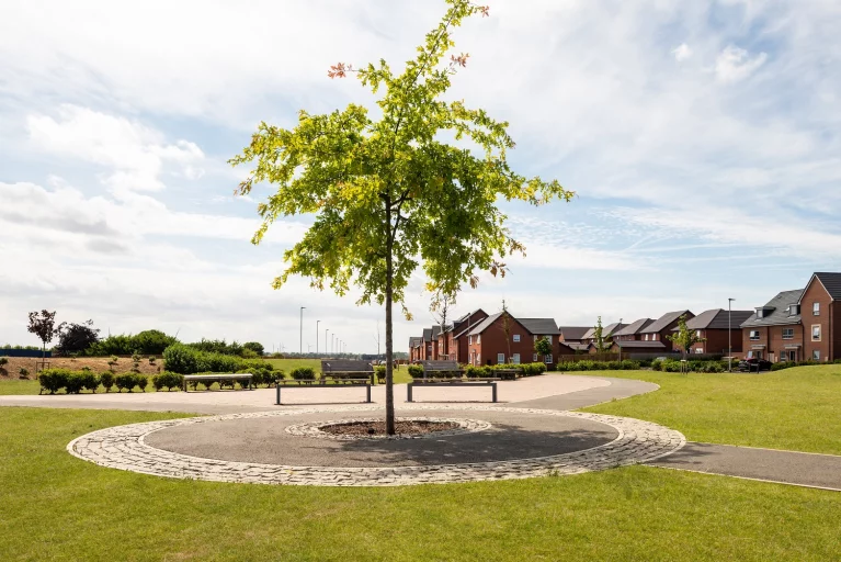 Image carousel 3521791 1766631671