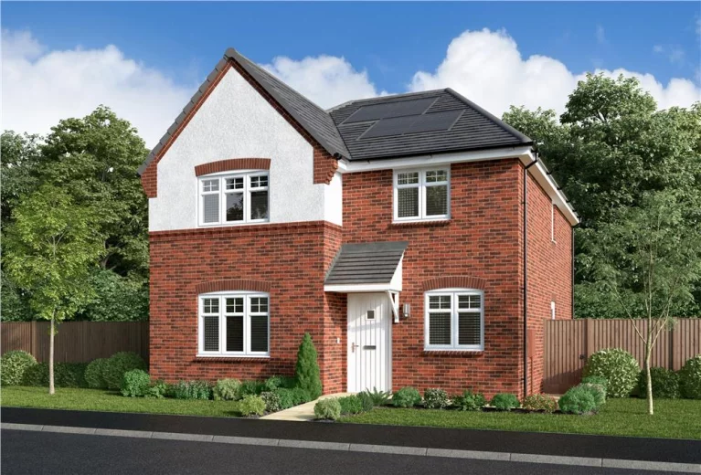 Image carousel 3521986 1775268998