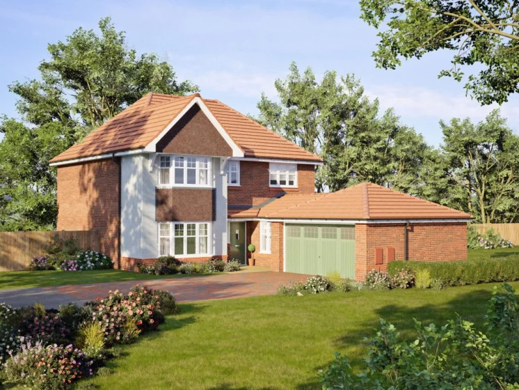 Image carousel 3522811 1767119600