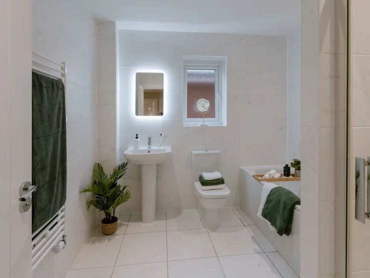 Image carousel 3522866 1767119695