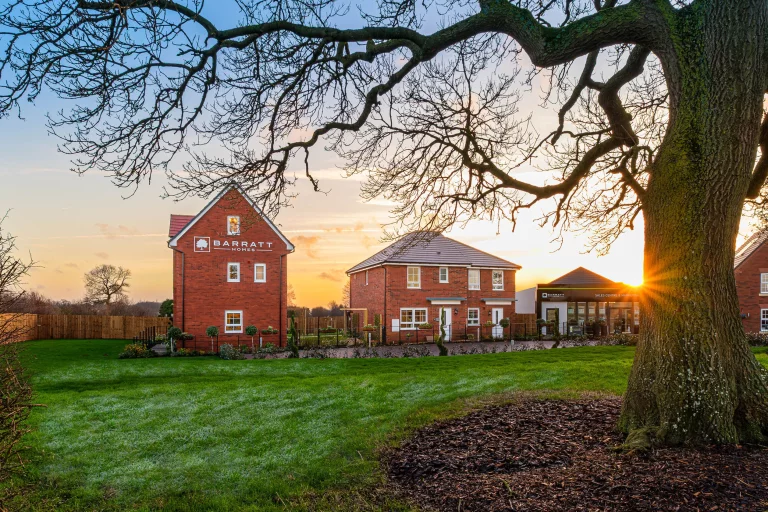 Image carousel 3524516 1767754854