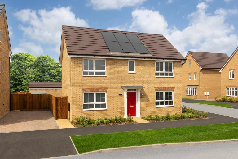 Image carousel 3524581 1767754931