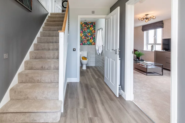 Image carousel 3533591 1769050991