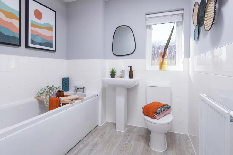 Image carousel 3533826 1769137285