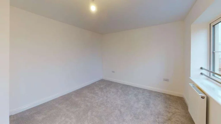 Image carousel 3535866 1769479271