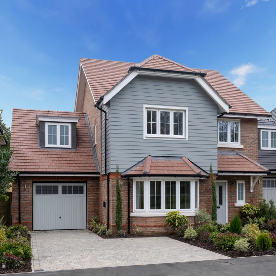 Image carousel 3537296 1769606837