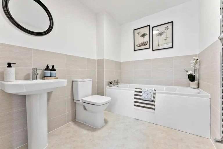 Image carousel 3537696 1769652064