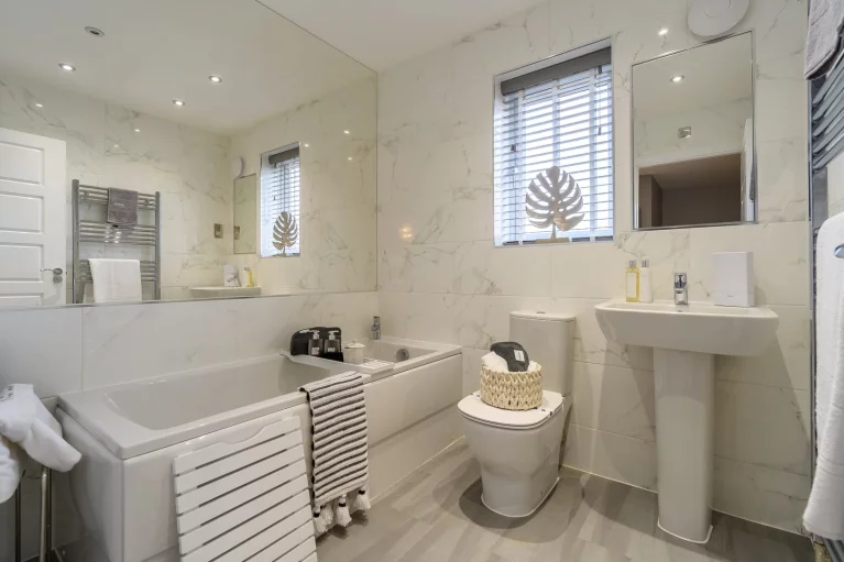 Image carousel 3538216 1769662874