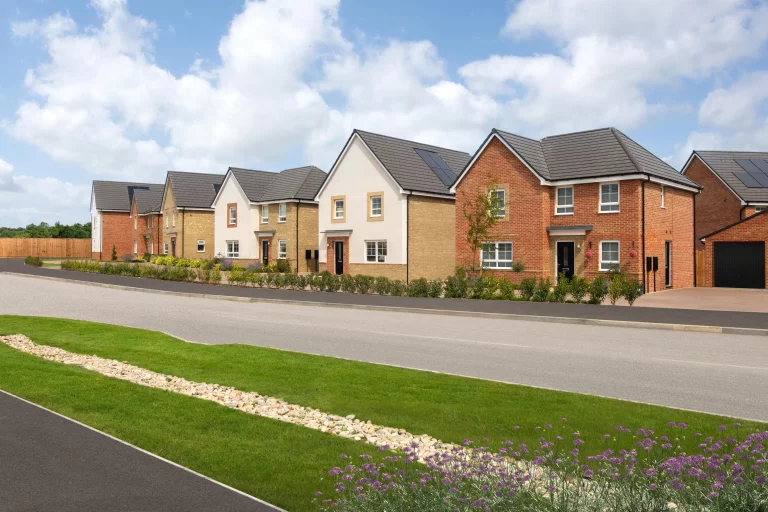 Image carousel 3538466 1769742063