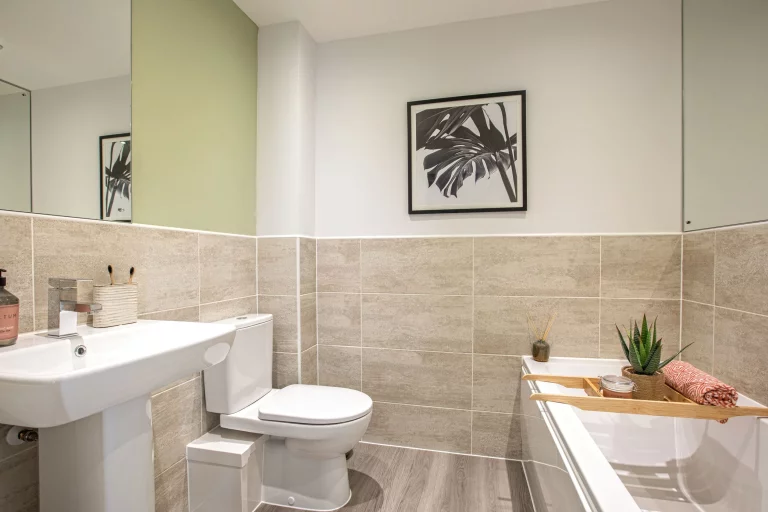 Image carousel 3538571 1769742151